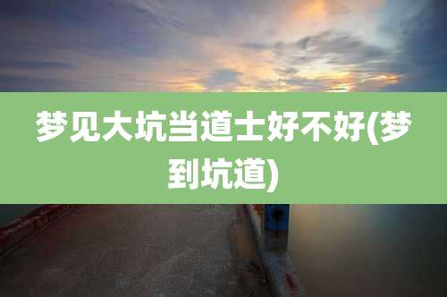 梦见大坑当道士好不好(梦到坑道)