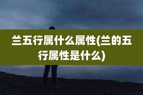 兰五行属什么属性(兰的五行属性是什么)