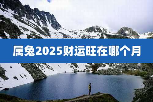 属兔2025财运旺在哪个月