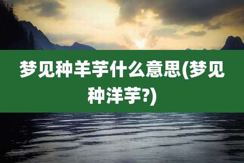 梦见种羊芋什么意思(梦见种洋芋?)