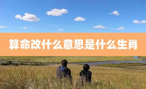 算命改什么意思是什么生肖