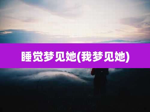 睡觉梦见她(我梦见她)