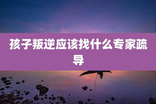 孩子叛逆应该找什么专家疏导