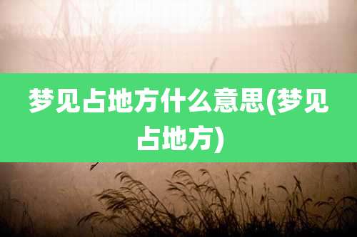 梦见占地方什么意思(梦见占地方)