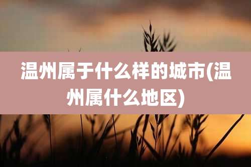 温州属于什么样的城市(温州属什么地区)