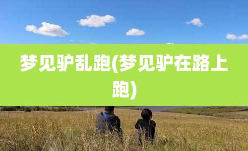 梦见驴乱跑(梦见驴在路上跑)