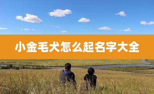 小金毛犬怎么起名字大全