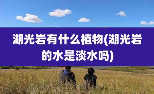 湖光岩有什么植物(湖光岩的水是淡水吗)