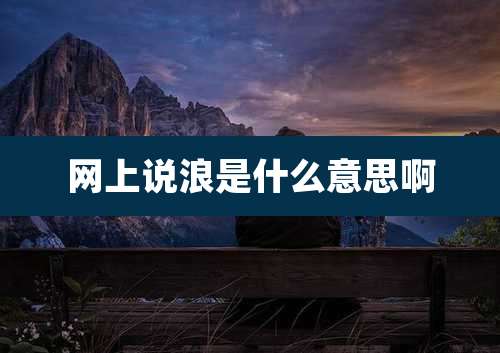 网上说浪是什么意思啊