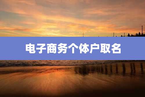 电子商务个体户取名
