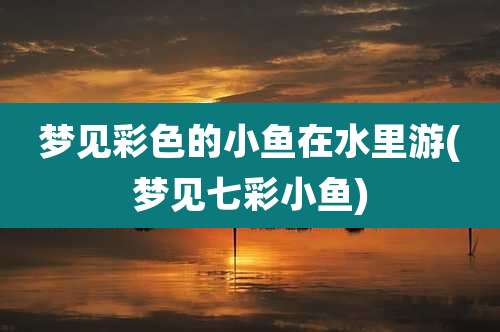 梦见彩色的小鱼在水里游(梦见七彩小鱼)
