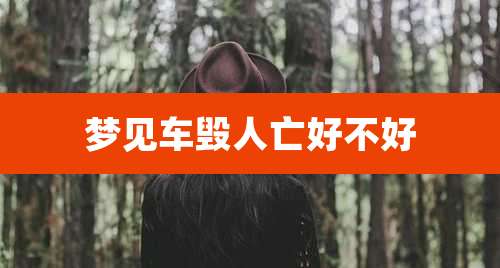 梦见车毁人亡好不好