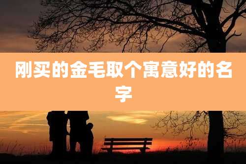 刚买的金毛取个寓意好的名字