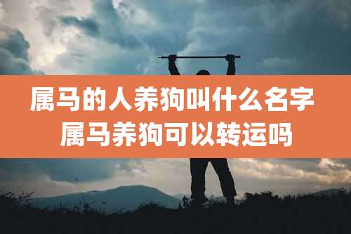 属马的人养狗叫什么名字 属马养狗可以转运吗
