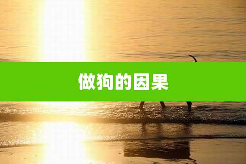 做狗的因果