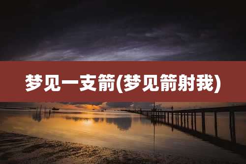 梦见一支箭(梦见箭射我)