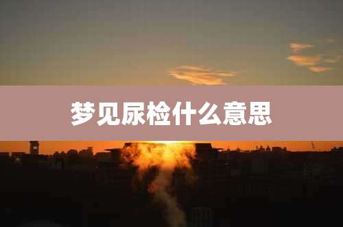 梦见尿检什么意思