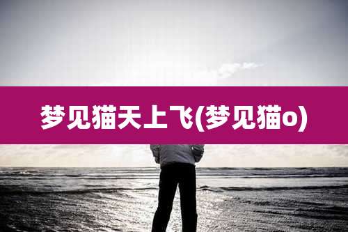 梦见猫天上飞(梦见猫o)