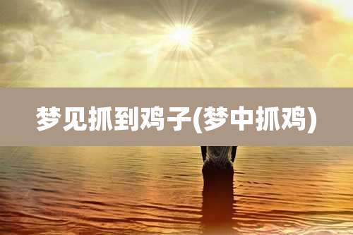 梦见抓到鸡子(梦中抓鸡)