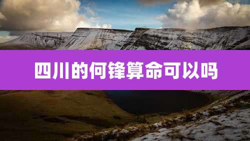 四川的何锋算命可以吗