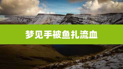 梦见手被鱼扎流血