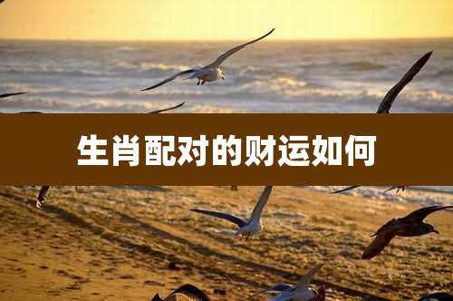 生肖配对的财运如何