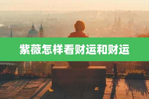 紫薇怎样看财运和财运