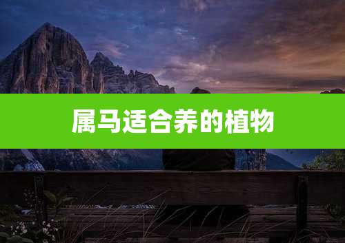 属马适合养的植物