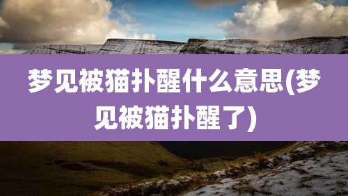 梦见被猫扑醒什么意思(梦见被猫扑醒了)