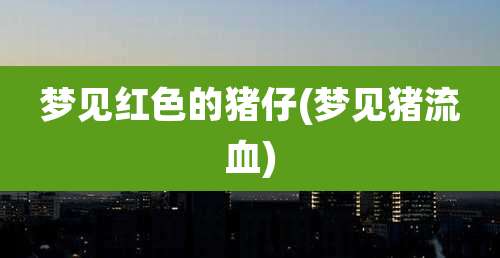 梦见红色的猪仔(梦见猪流血)