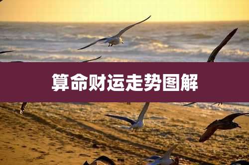 算命财运走势图解