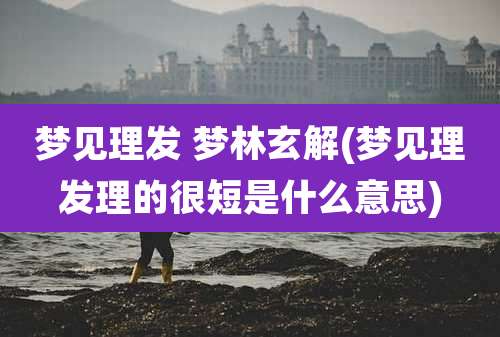 梦见理发 梦林玄解(梦见理发理的很短是什么意思)