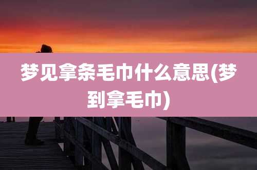梦见拿条毛巾什么意思(梦到拿毛巾)