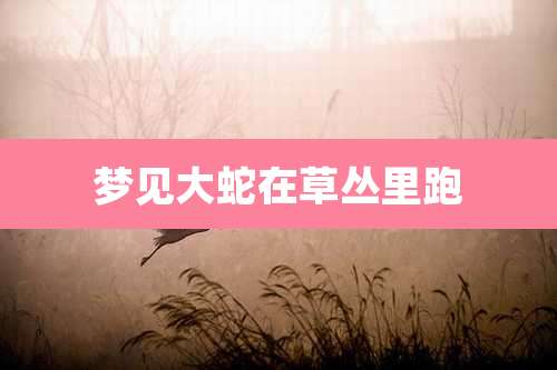 梦见大蛇在草丛里跑