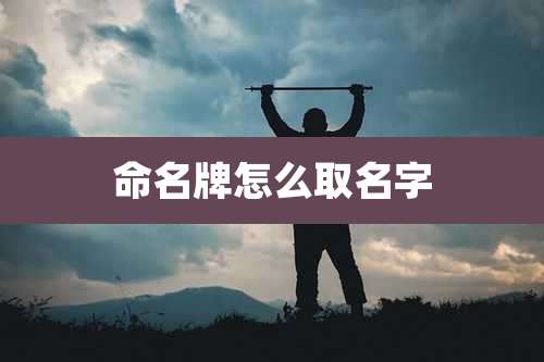 命名牌怎么取名字