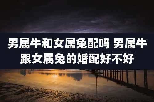 男属牛和女属兔配吗 男属牛跟女属兔的婚配好不好