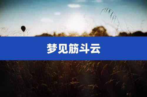 梦见筋斗云