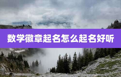 数学徽章起名怎么起名好听