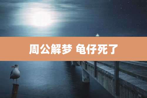 周公解梦 龟仔死了