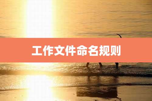 工作文件命名规则