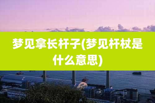 梦见拿长杆子(梦见杆杖是什么意思)