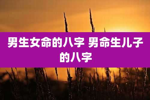 男生女命的八字 男命生儿子的八字