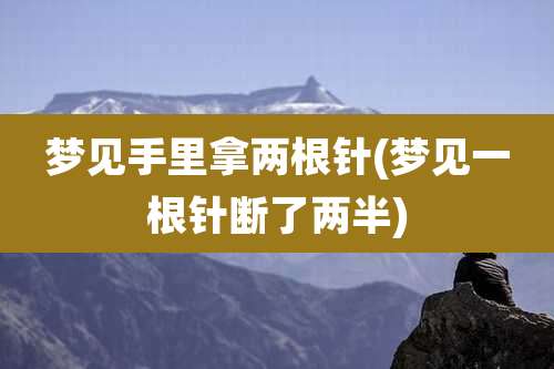 梦见手里拿两根针(梦见一根针断了两半)