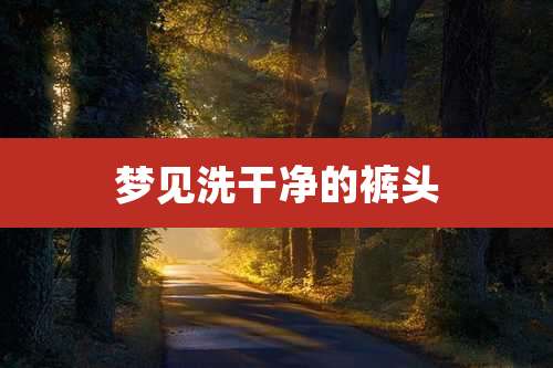 梦见洗干净的裤头