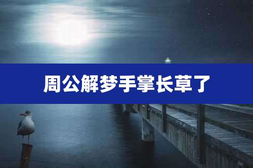 周公解梦手掌长草了
