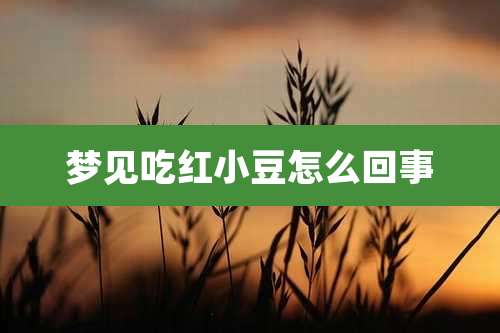 梦见吃红小豆怎么回事