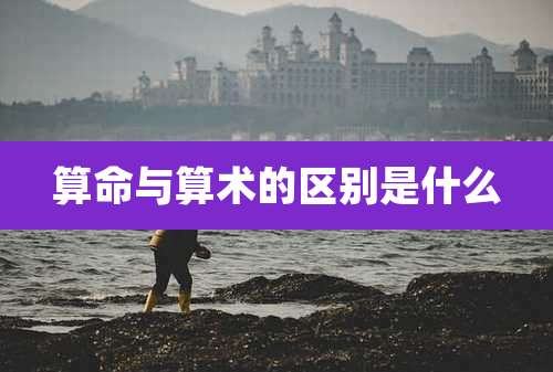 算命与算术的区别是什么