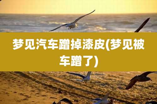 梦见汽车蹭掉漆皮(梦见被车蹭了)