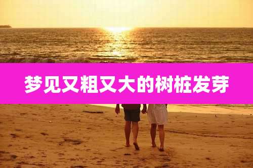 梦见又粗又大的树桩发芽