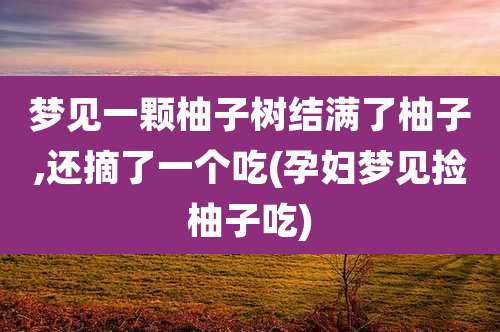 梦见一颗柚子树结满了柚子,还摘了一个吃(孕妇梦见捡柚子吃)